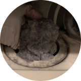 そして、臭いの原因はこれ!? 画像2