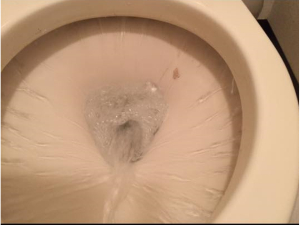 東京都新宿区にてトイレ詰まりのご依頼を頂きました