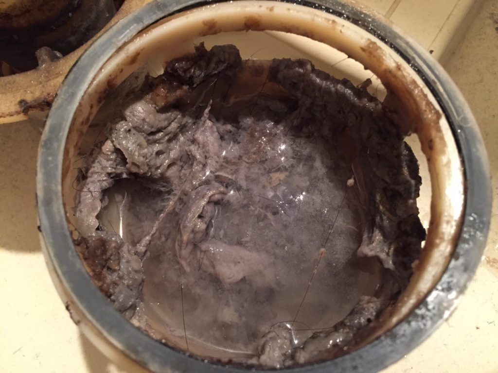 東京都渋谷区で洗濯機排水口のつまりを修理してきました